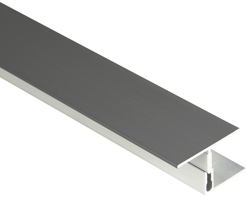 PROTRANS Übergangsprofil Aluminium 25mm eloxiert Edelstahl selbstklebend  270cm - Proline » DeineTür.de