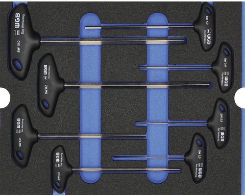 Moduleinlage Stiftschlüssel mit Quergriff WGB 268 x 38 x 342 mm schwarz 8-tlg WGB T-Griff-Schlüsselsatz in Aufbewahrungsbox