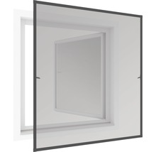 Fliegengitter vor einem Fenster