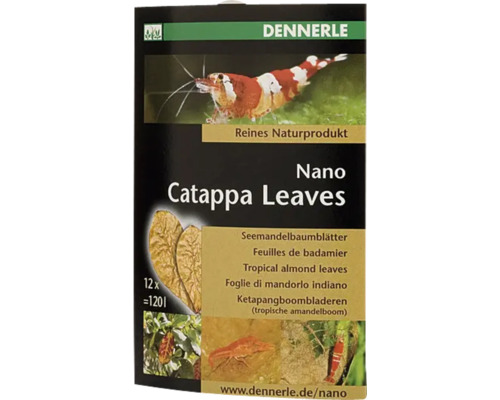 Seemandelbaumblätter DENNERLE Nano Catappa Leaves 12 Stück Verpackung Nano Catappa Leaves Seemandelbaumblätter von Dennerle