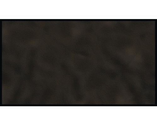 Schmutzfangläufer Shades schwarz 67x120 cm