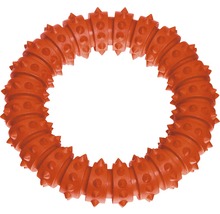Hundespielzeug Ring mit Noppen