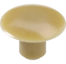 Möbelknopf aus Kunststoff