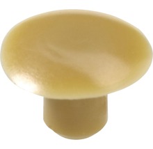 Möbelknopf aus Kunststoff
