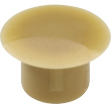 Abdeckkappe 8 mm beige 20 St.