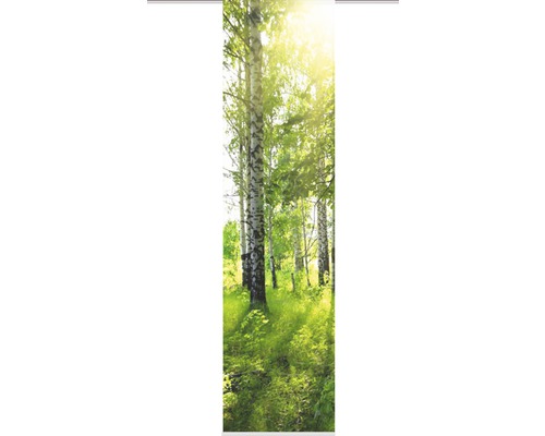 Home Fashion BENESSA Schiebevorhang – Digitaldruck Seidenoptik, Blickdicht, 245x60 Cm
