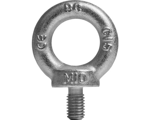 Ringschraube (ähnl. DIN 580) M10 galv. verzinkt, 10 Stück Ösenmutter M10 aus Metall