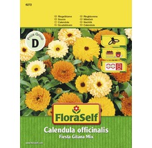 Ringelblume 'Fiesta Gitana Mix' FloraSelf samenfestes Saatgut Blumensamen-thumb-0