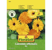 Ringelblume 'Mix' FloraSelf samenfestes Saatgut Blumensamen-thumb-0