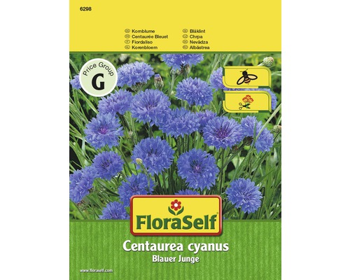Kornblume 'Blauer Junge' FloraSelf samenfestes Saatgut Blumensamen