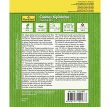 Samenpackung Cosmos bipinnatus Sensation Mix