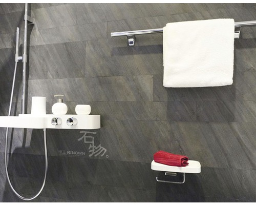 Badezimmer mit Dusche, Handtuchhalter und Ablageflächen für Badutensilien