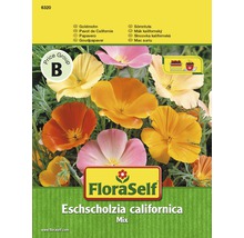 FloraSelf Kalifornischer Mohn Mix Samenpackung