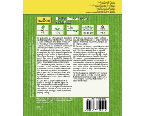 Verpackung Blumensamen Helianthus annuus Gefüllte Riesen