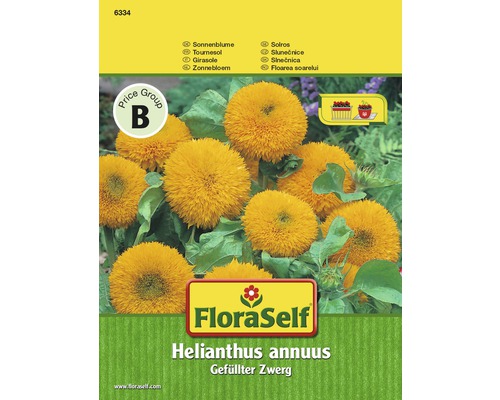 Samenpackung gefüllte Zwerg-Sonnenblume Helianthus annuus