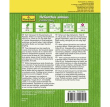 Verpackung Sonnenblumen Gefüllter Zwerg Samen von FloraSelf