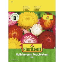 Strohblumen 'Mix' FloraSelf samenfestes Saatgut Blumensamen