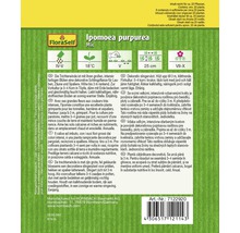 Samenpackung Trichterwinde der Marke FloraSelf