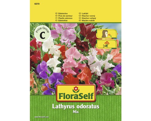 FloraSelf Saatgut Edelwicke Lathyrus odoratus Mischung