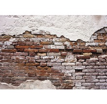 Fototapete Vlies 10182 VEXXL Rote Mauer orange weiss 3-tlg. 312 x 219 cm