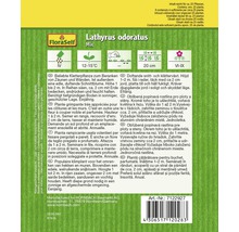 Samenpackung Duftwicke Mix von FloraSelf mit Informationen zur Aussaat und Pflege