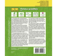 Samenpackung Portulaca grandiflora Mix von FloraSelf