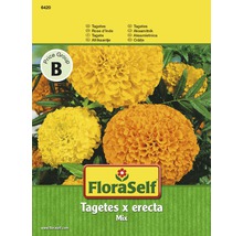 Samenpackung Tagetes x erecta Mix von FloraSelf