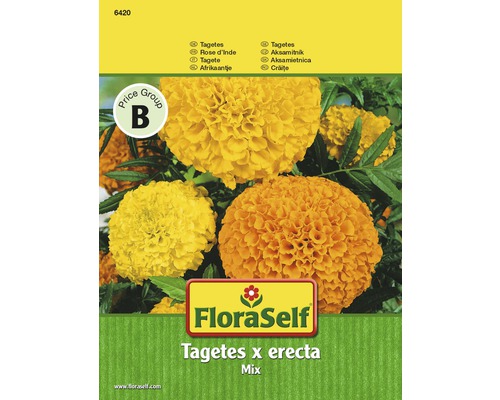 Samenpackung Tagetes x erecta Mix von FloraSelf