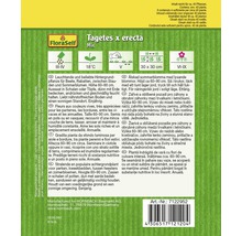 Samenpackung Tagetes erecta Mix für Beet- und Rabattenbepflanzung