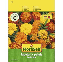 FloraSelf Studentenblumen Tagetes x patula Bonita Mix Samenpackung