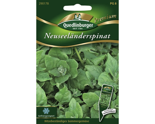 Neuseeländerspinat Gemüsesamen Quedlinburger