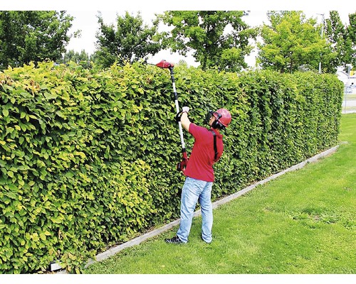 Mann schneidet Hecke mit einer Heckenschere.