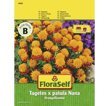 Samenpackung Tagetes x patula Nana Orangeflamme