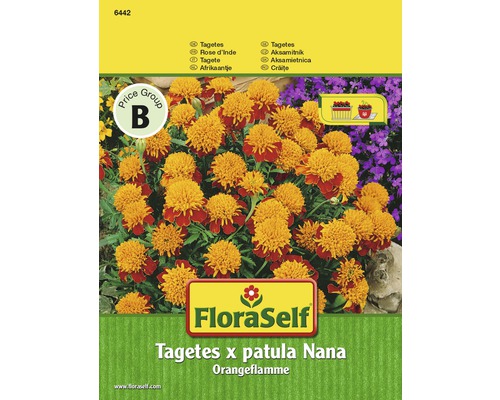 Tagetes 'Orangeflamme' FloraSelf samenfestes Saatgut Blumensamen