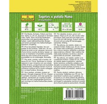 Samenpackung Tagetes x patula Nana Orangeflamme für Beete, Schalen und Gräber