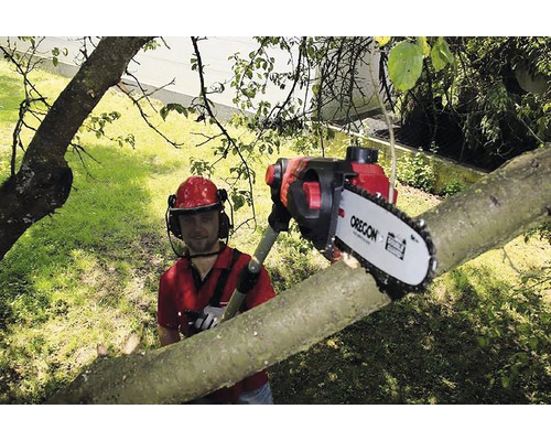 Mann mit Helm sägt Baumstamm mit einer Hochentaster Säge