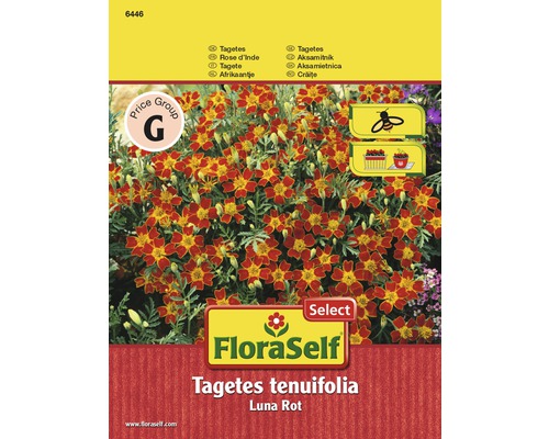 Tagetes tenuifolia Luna Rot Samenpackung