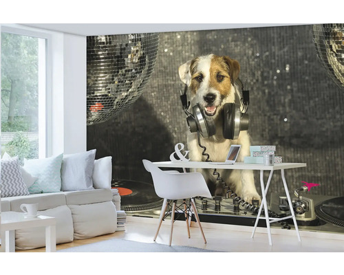 Fototapete mit Hund, Kopfhörern und Discokugeln im Wohnzimmer