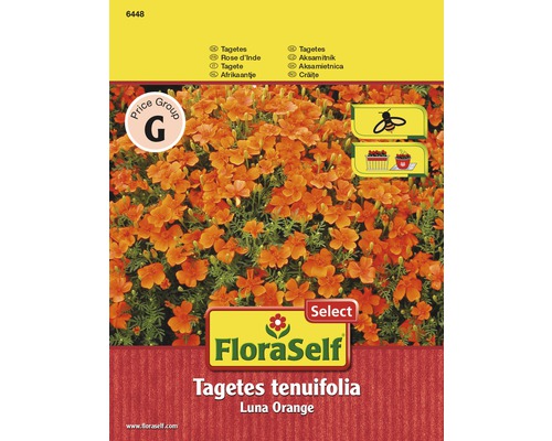 Tagetes 'Luna Orange' FloraSelf samenfestes Saatgut Blumensamen