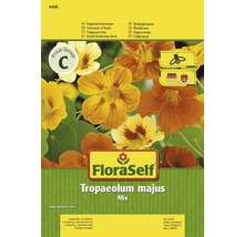 FloraSelf Kapuzinerkresse Tropaeolum majus Mix