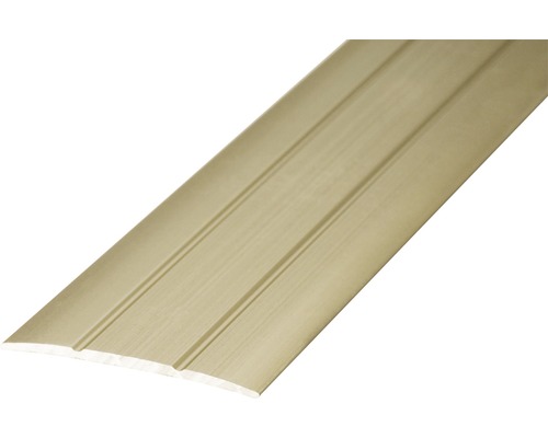 Prinz Übergangsprofil Alu Edelstahl matt selbstklebend 38 x 1000 mm Bodenprofil aus Kunststoff