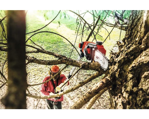 Person mit Helm und Astsäge beim Baumschnitt