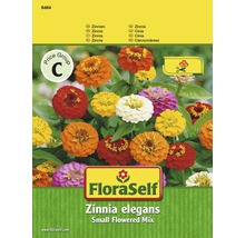 FloraSelf Zinnia elegans Blumensamen, kleinblumige Mischung
