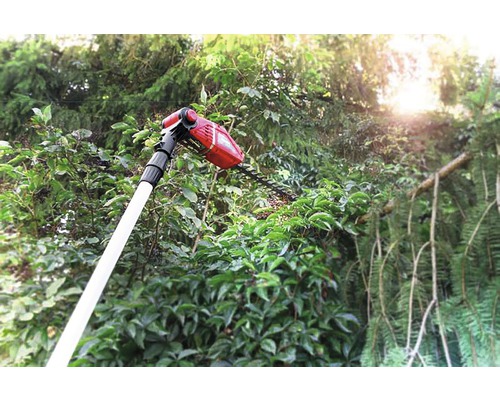 Teleskop Heckenschere im Einsatz zum Schneiden von Büschen
