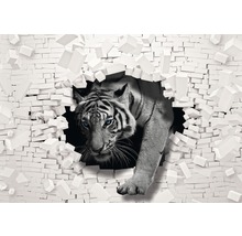 Fototapete mit einem Tiger, der durch eine Backsteinmauer bricht