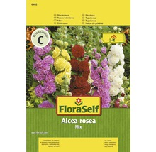 FloraSelf Stockrosen Alcea rosea Samenmischung