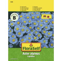 FloraSelf Alpinaster Samenpackung