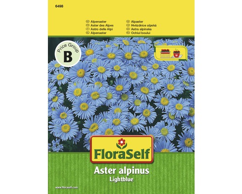 Alpenaster ‘Lightblue‘ FloraSelf samenfestes Saatgut Blumensamen