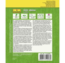 Verpackung von FloraSelf Aster alpinus Lightblue Samen, geeignet für Steingärten und Rabatten