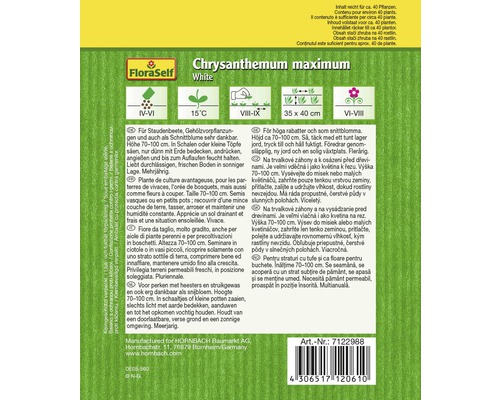Verpackung mit FloraSelf Chrysanthemum maximum White Saatgut
